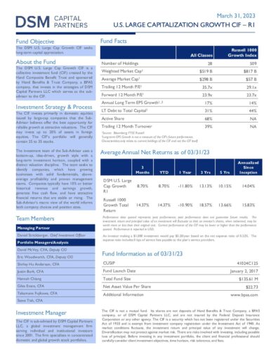 DSM US Large Cap Growth CIF Factsheet_03.31.23 - DSM Capital Partners